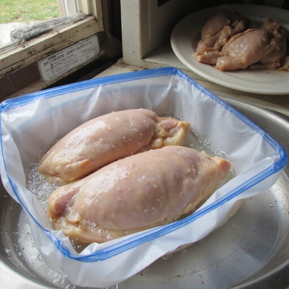 quick thawing chicken methods