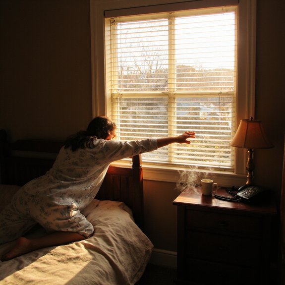 sleep cycle and chronotype